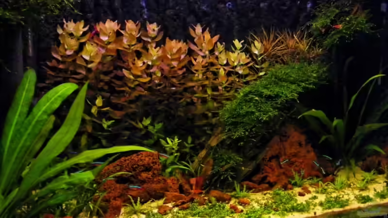 Becken von der Seite... von schluenkes (2)