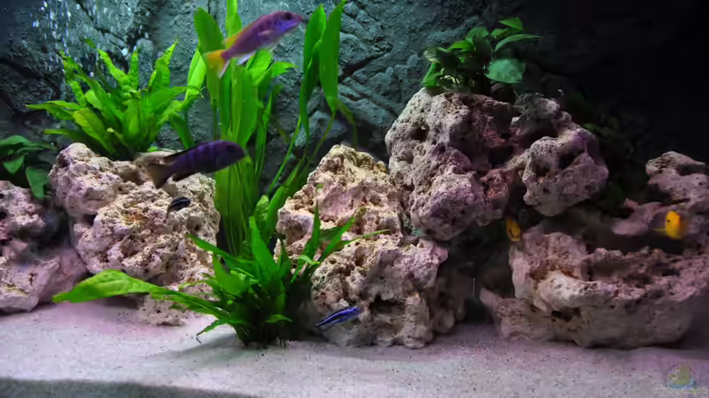 Becken von der Seite von André B. (4)