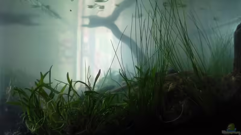 Becken von der Seite von Chris_R. (33)