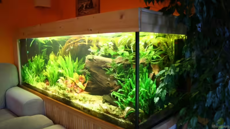 Becken von der Seite von Minzi (7)