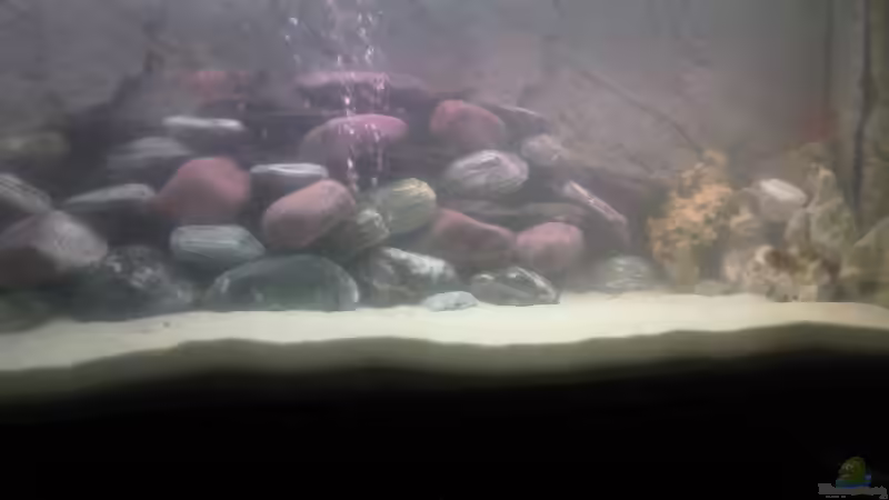 Becken von Francesco (23)