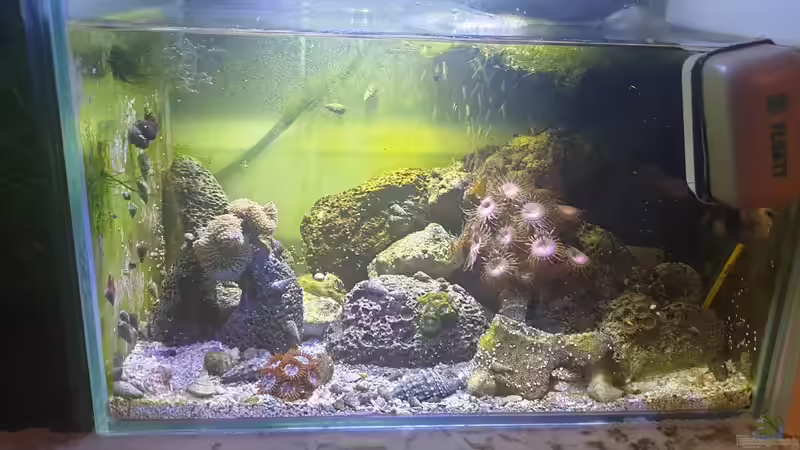 Becken von GiZZ55 (2)