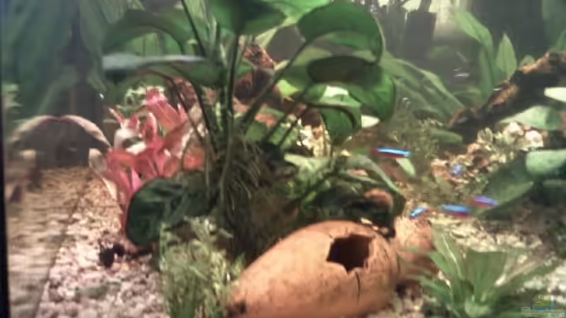 Becken von linker seite aus,neues Bild von mikael38 (6)