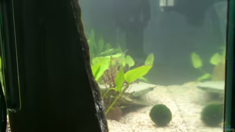 Becken von links von Christian Kleinhenz (6)