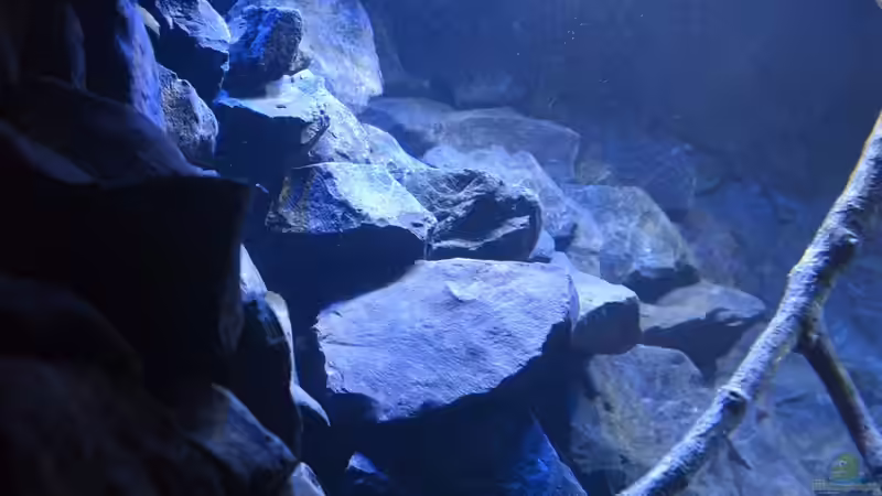 Becken von links von Flutsch (12)