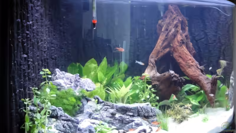 Becken von links von Heidi und Gerhard (5)