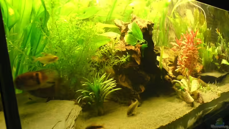 Becken von links von Mario Max (2)