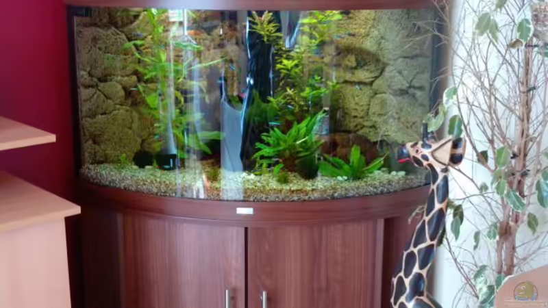 Becken von manala (2)