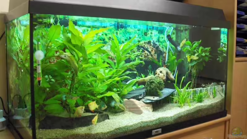 Becken von Marcus Voglsinger (1)