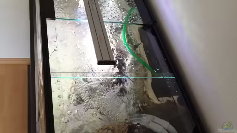 Becken von oben mit Abdeckscheiben & Beleuchtung von Branjo (18)