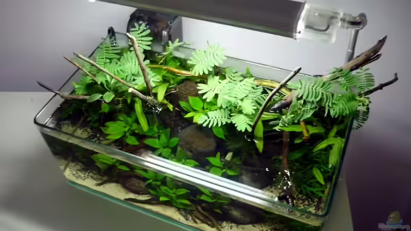 Becken von oben von Chris_R. (8)