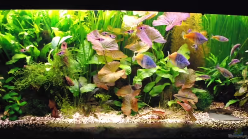 Becken von oben von Christian Klein (2)