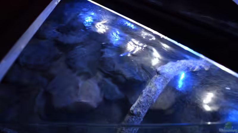 Becken von oben von Flutsch (9)