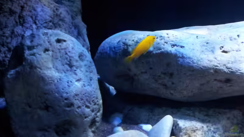 Becken von ollil81 (10)