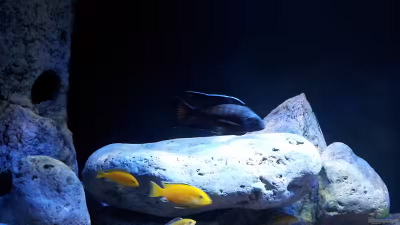 Becken von ollil81 (12)