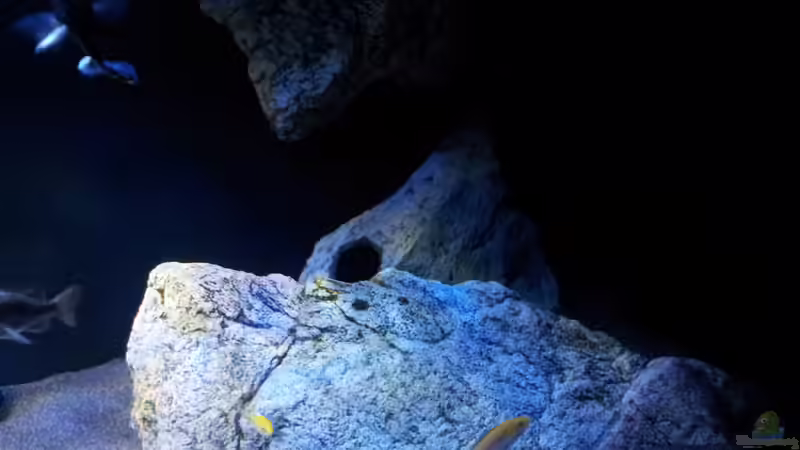 Becken von ollil81 (8)