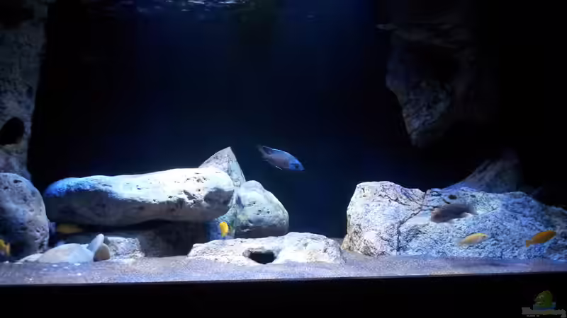 Becken von ollil81 (9)