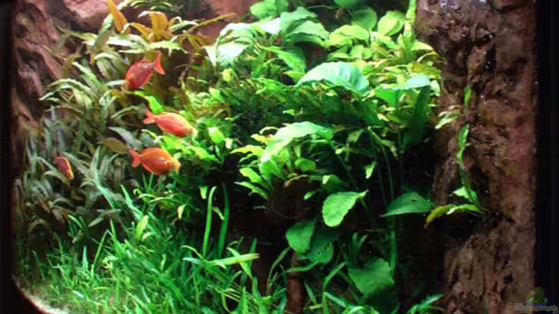 Becken von rechts, 23.03.2006 von Tilo Schmiedl (7)