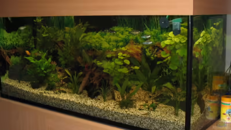 Becken von rechts betrachtet von Mike Nebenführ (3)