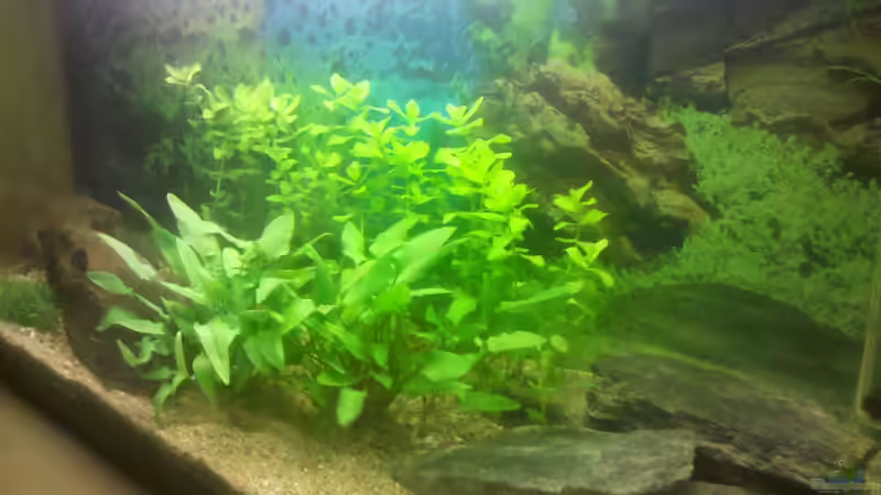 Becken von rechts nach erstem Wasser einfüllen von De Millo (2)