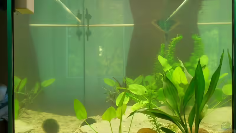 Becken von rechts von Christian Kleinhenz (5)