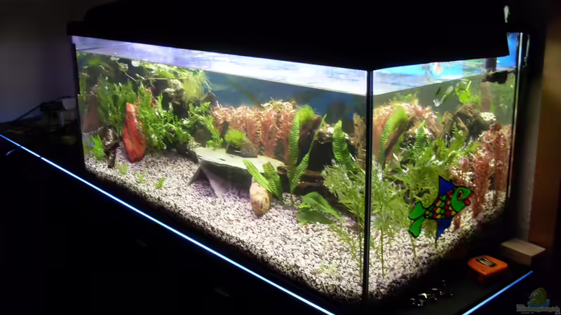 Becken von rechts von Stefano83 (3)