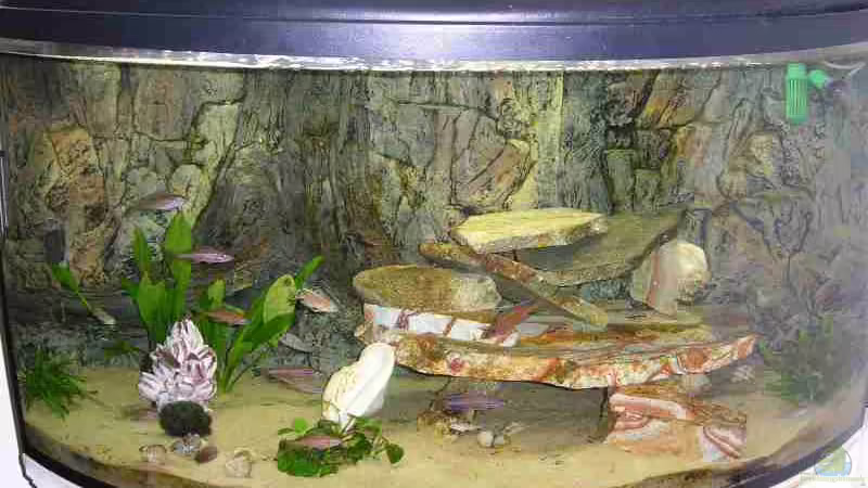 Becken von Saskia Geers (1)