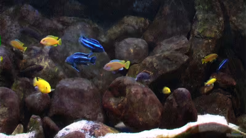 Becken von schräg links von Tilo Schmiedl (2)