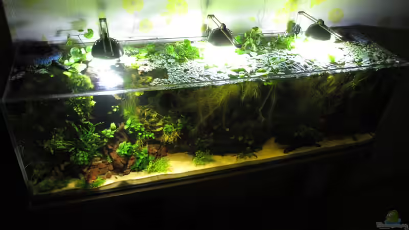 Becken von schräg oben von Frank H. (3)