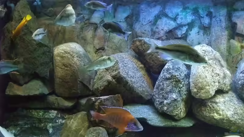 becken von schräg rechts von Danny Mätzke (2)