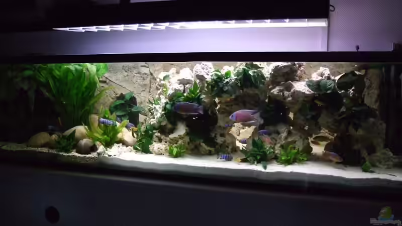 becken von Simon Dolch (2)