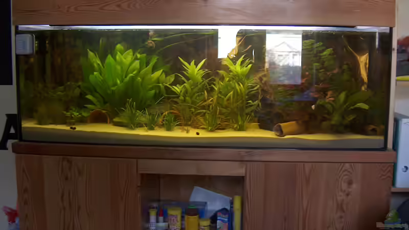 Becken von tomekk (2)