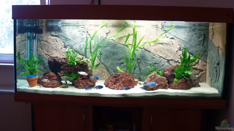 Becken von vorn von Aqua2010 (1)