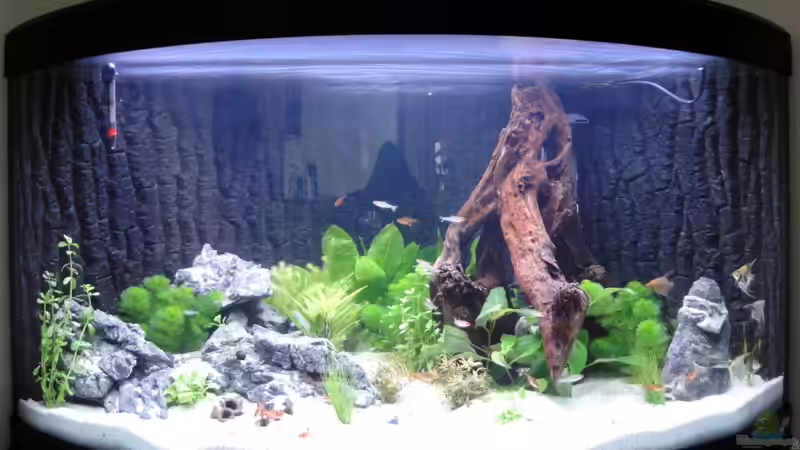 Becken von vorne von Heidi und Gerhard (4)