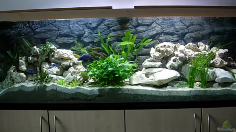 Becken von vorne von Stefan Grabher (1)