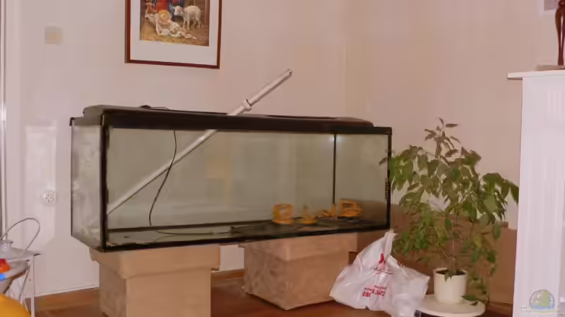 Becken vor Beginn des Projekts von Peter Giesbrecht (2)