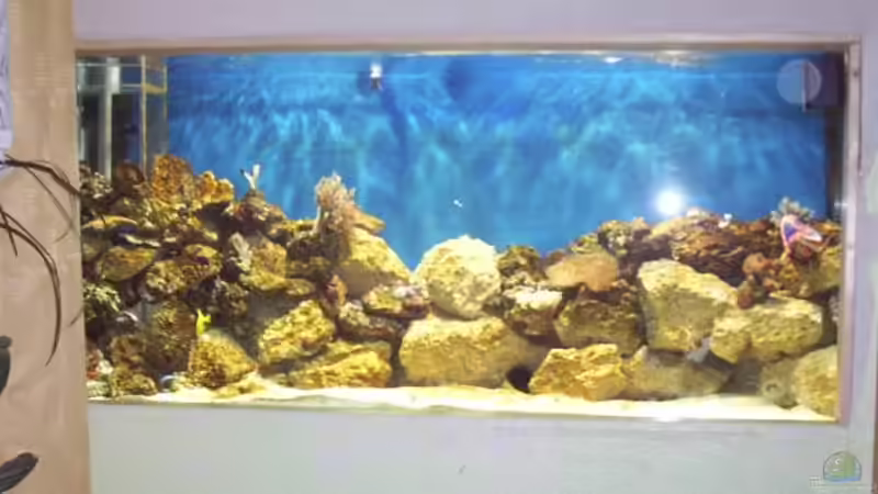 Becken vor ca. 1 Jahr von Katja Graßer (2)