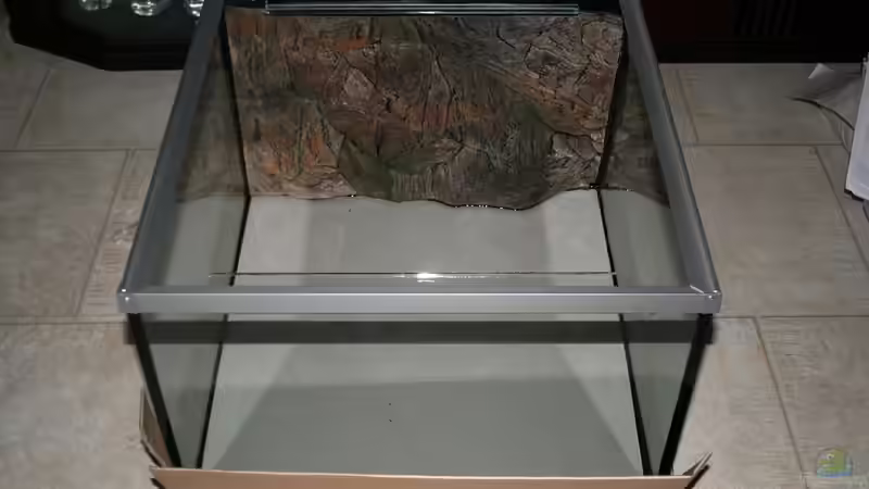 Becken vor der ersten Benutzung 12.2007 (noch mit Rückwand) von Micha (3)