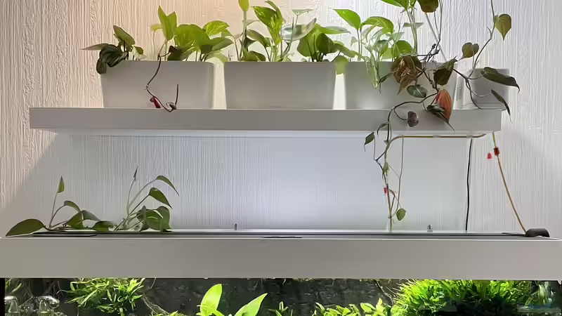 Becken vor der Umgestaltung mit Wandbegrünung von Thilo (16)