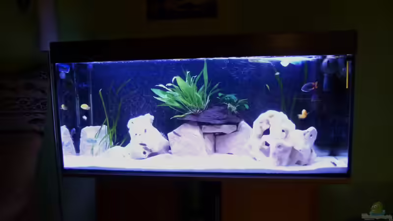 Becken vor der Umgestaltung von Malawi-Freunde (4)