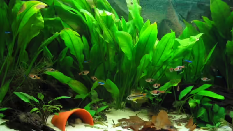 Becken vor der Umgestaltung von Sebastian W. (2)