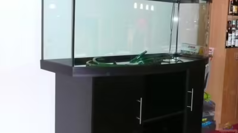 Becken vor einbau der Rückwand und Befüllung von Tim Burow (7)