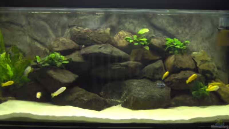 Becken vor einem Jahr von boehmo (5)