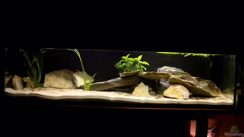 Becken vor Verbesserungsvorschlaegen von Tobias Seiffert (13)