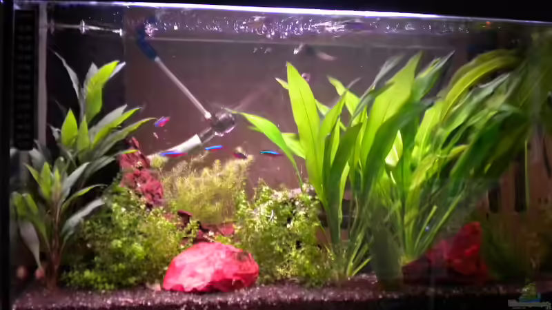 Becken vorher (15.11 2010) von Marci (3)