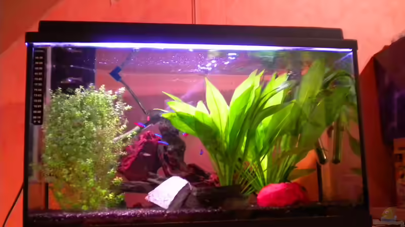 Becken vorher von Marci (5)