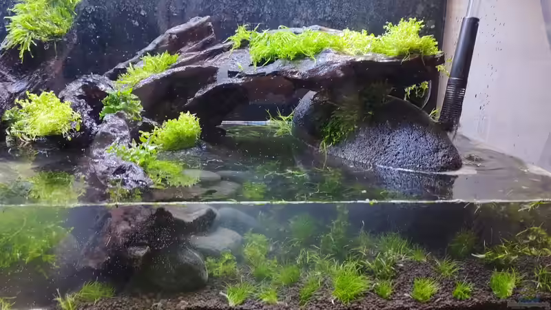 Becken wir sukzessive aufgefüllt von PEM (11)