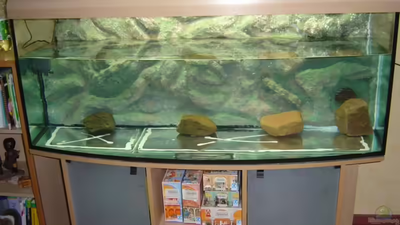 Becken wird zum ersten Mal befüllt.Grosse Steine zur Vorsichtsmaßnahme, falls die von Dennis Kremer (3)