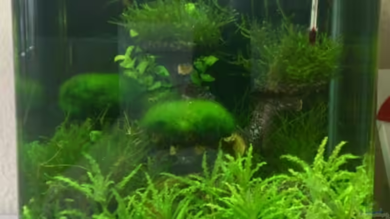 Becken Woche 9 von RoZan (11)