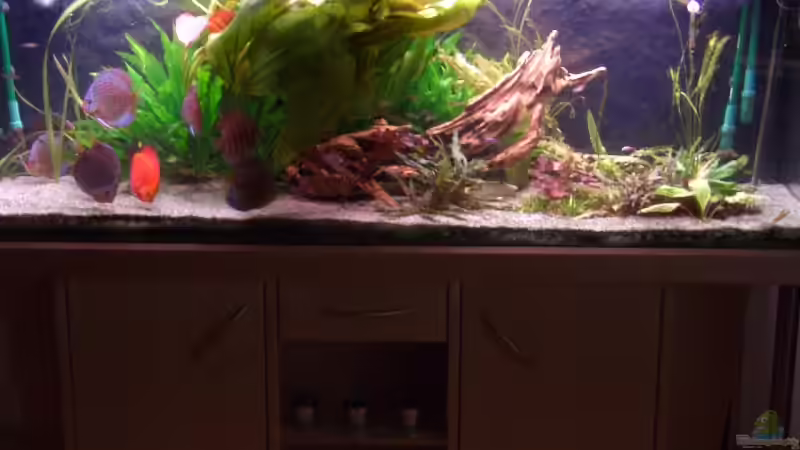 Becken zu Verkaufen 06.01.07